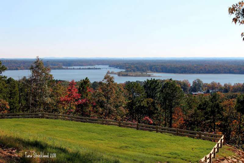 Bluff Weiss Lake Photo Contest First Place