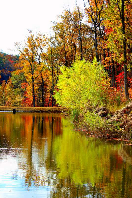 Bluffs Weiss Lake Photo Contest Third Place